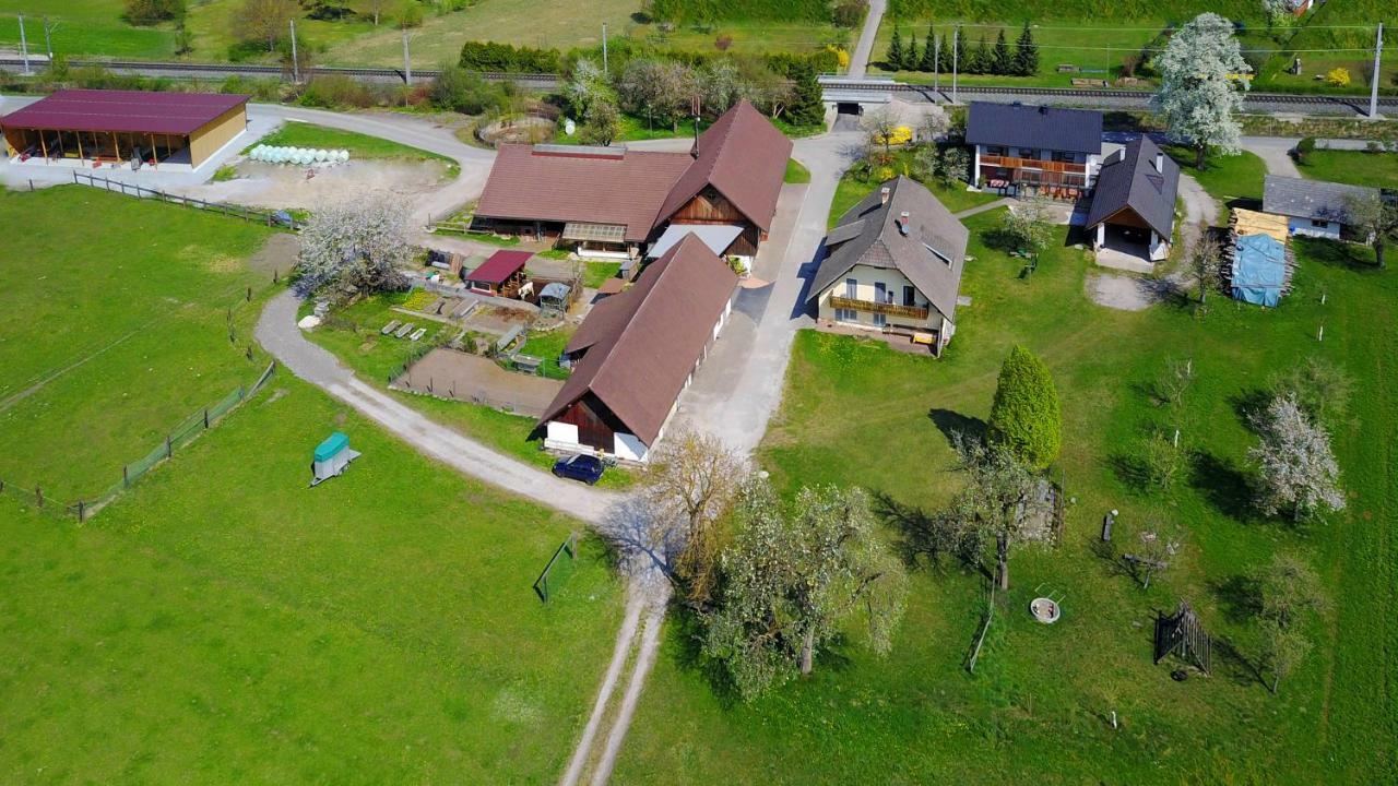 Ferienhof Ressmann-Tratnik Lägenhet Ledenitzen Exteriör bild